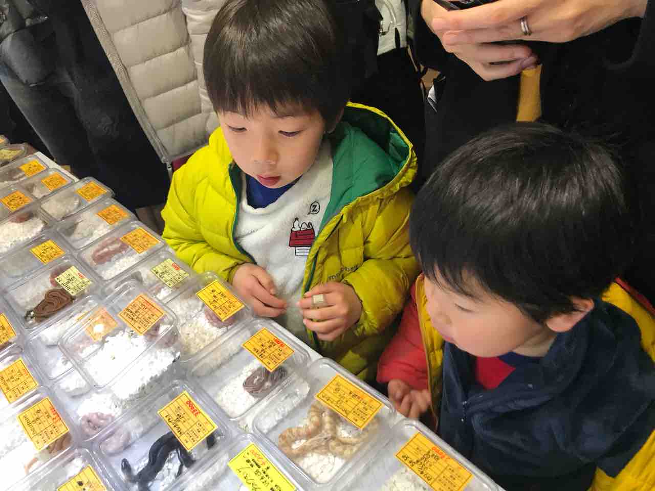 爬虫類イベント大阪南港atc 後編 Tamanegirunnersのブログ 爬虫類イベント大阪南港atc 後編 Tamanegirunnersのブログ