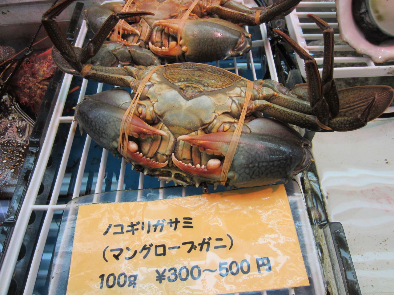 沖縄旅行 第一牧志公設市場編 Tamanegirunnersのブログ