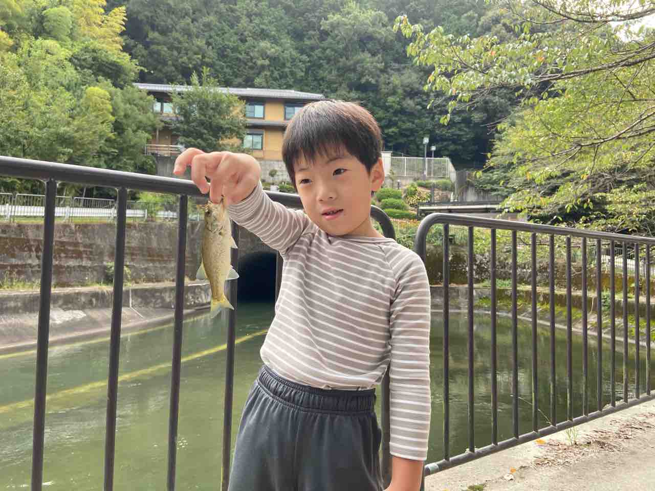 またもや休日朝はバス釣り Tamanegirunnersのブログ またもや休日朝はバス釣り Tamanegirunnersのブログ