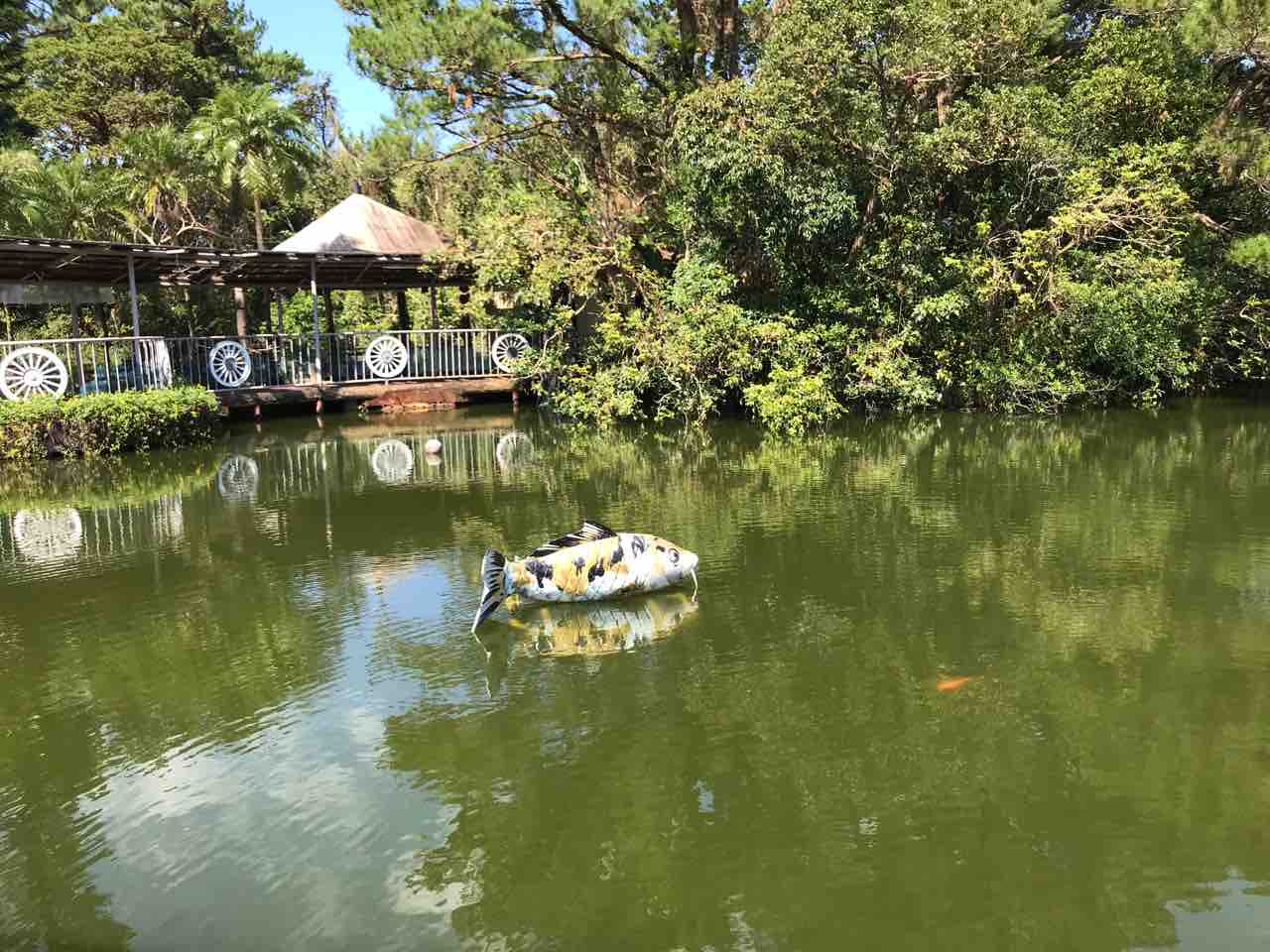 家族で沖縄旅行その08 東南植物園後編 Tamanegirunnersのブログ