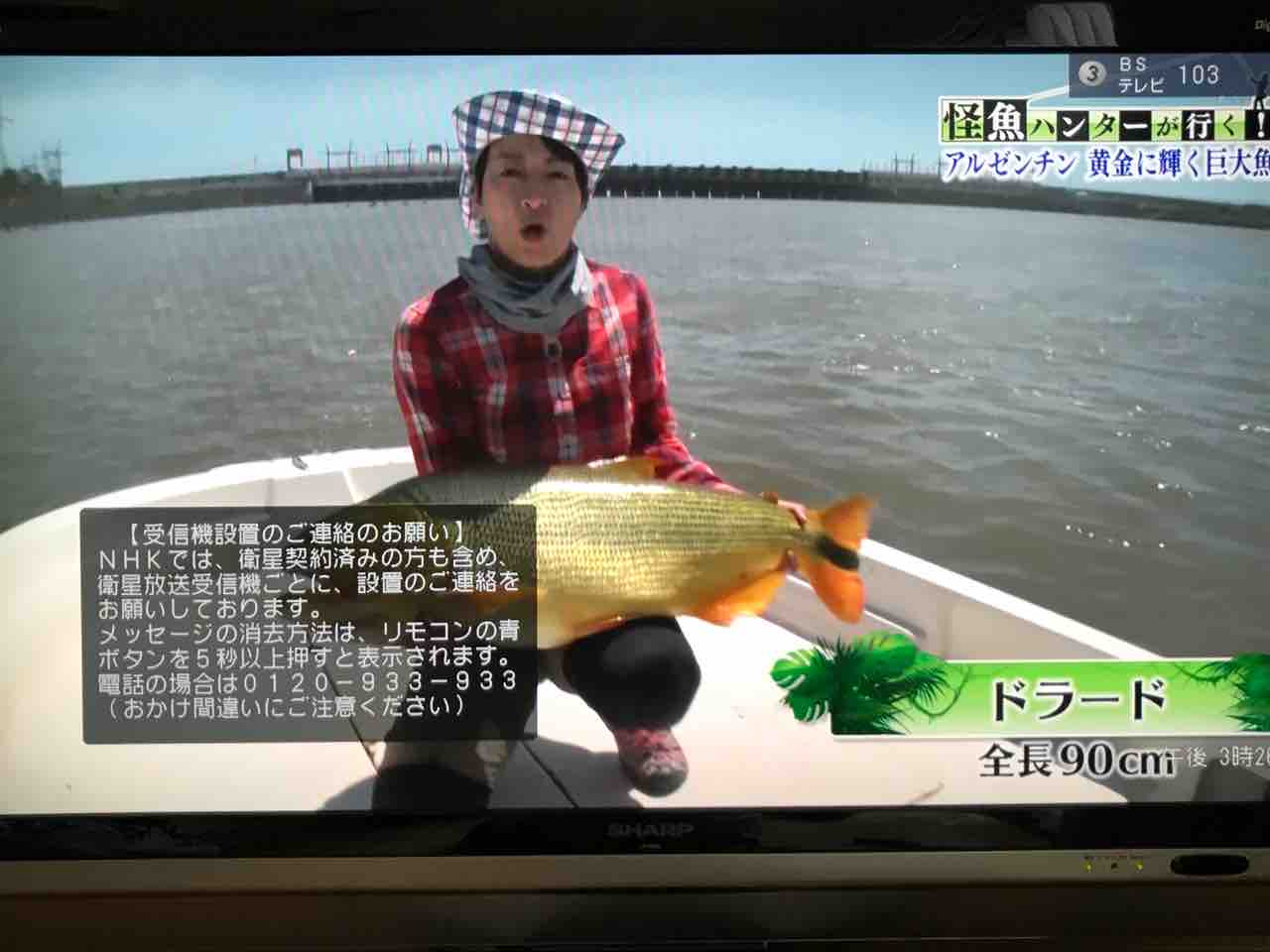 家でゆっくり Tamanegirunnersのブログ