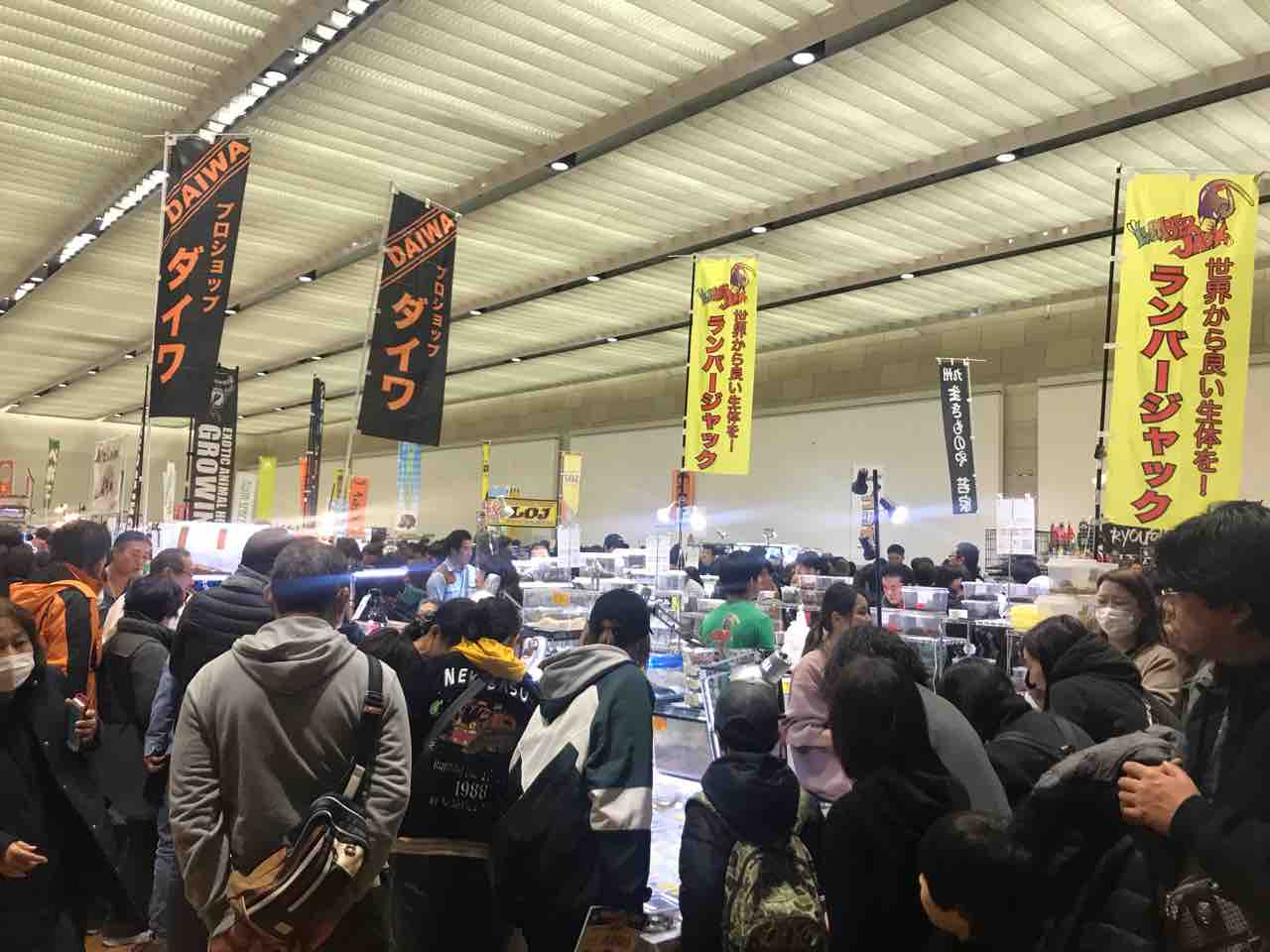 爬虫類イベント大阪南港atc 後編 Tamanegirunnersのブログ 爬虫類イベント大阪南港atc 後編 Tamanegirunnersのブログ