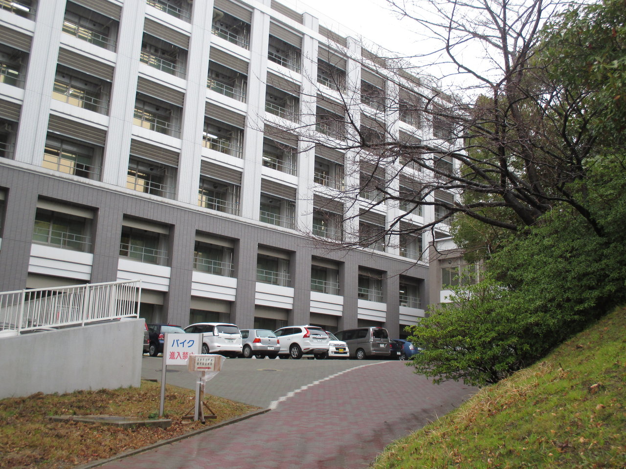 七條千津子先生最終講義 前編 Tamanegirunnersのブログ 七條千津子先生最終講義 前編 Tamanegirunnersのブログ
