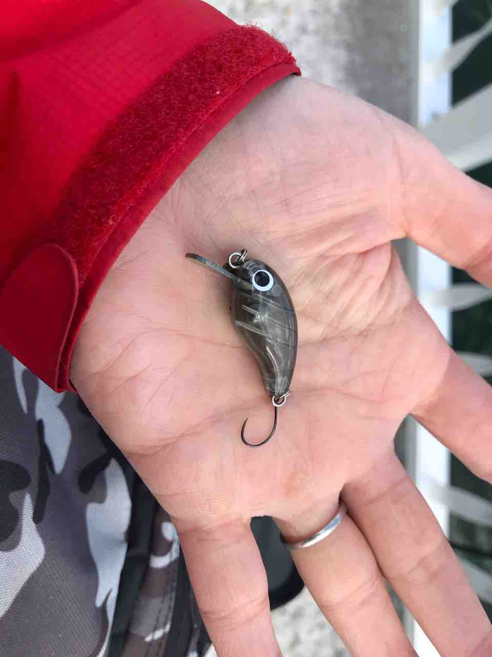 琵琶湖でバス釣り 守山温泉水春 Tamanegirunnersのブログ 琵琶湖でバス釣り 守山温泉水春 Tamanegirunnersのブログ