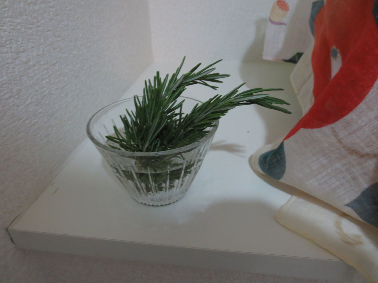 ローズマリー化粧水 Tamanegirunnersのブログ