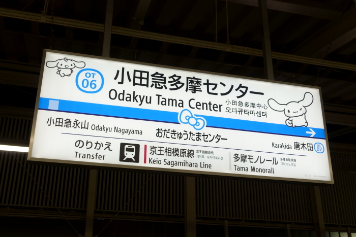 SONY220110-069