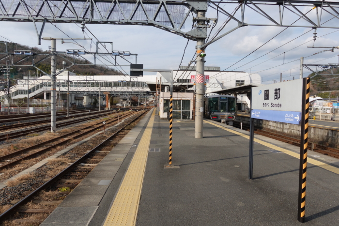 so241230219