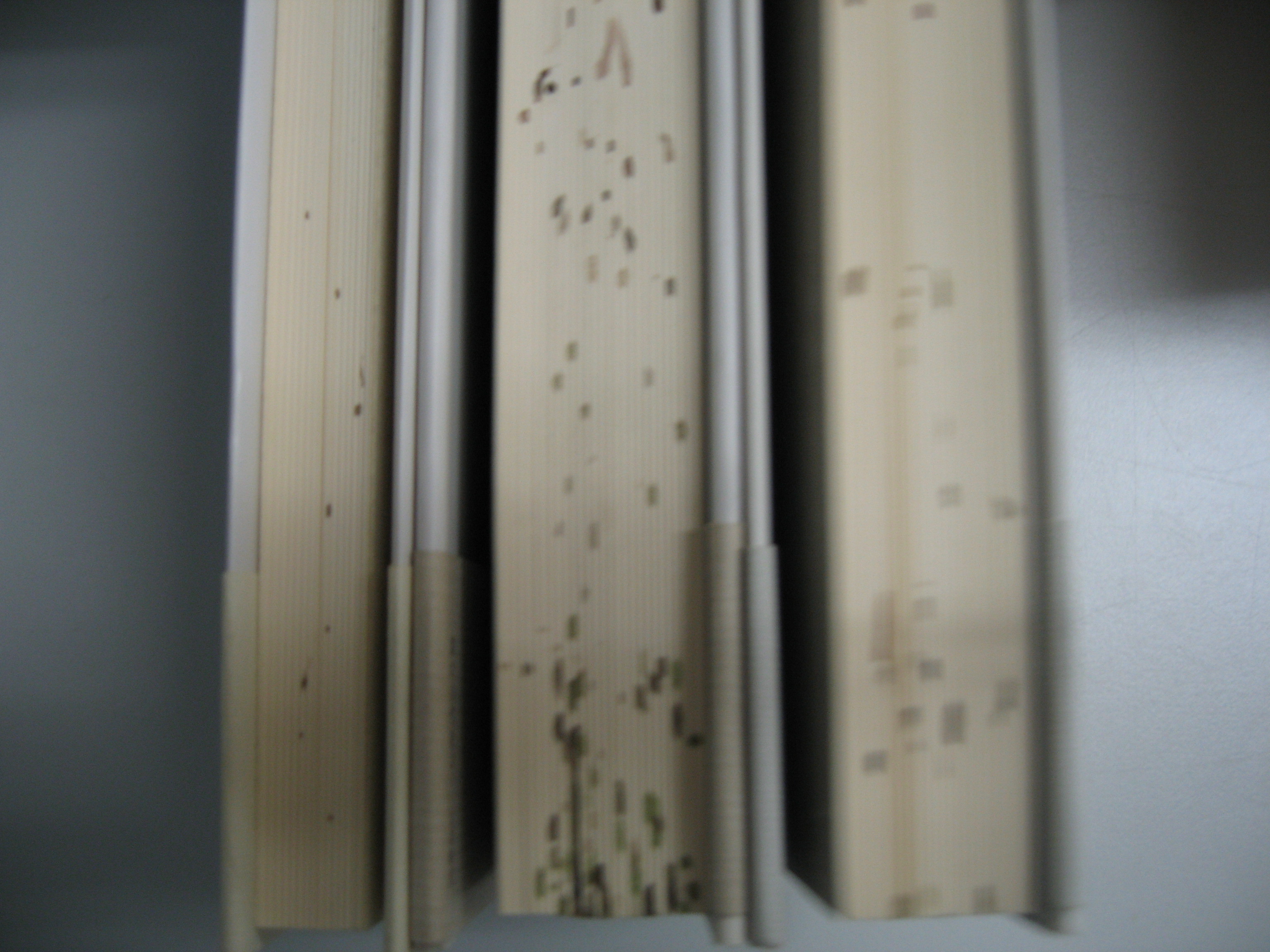 何じゃこりゃあ 加藤茶山のチョット一服