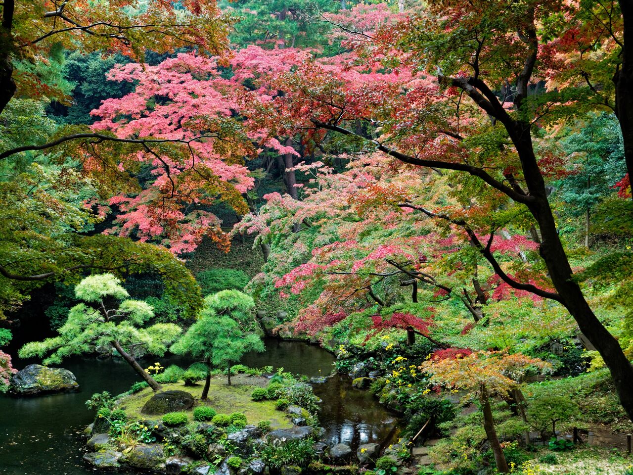 殿ヶ谷戸庭園の紅葉 たまには撮ってます。
