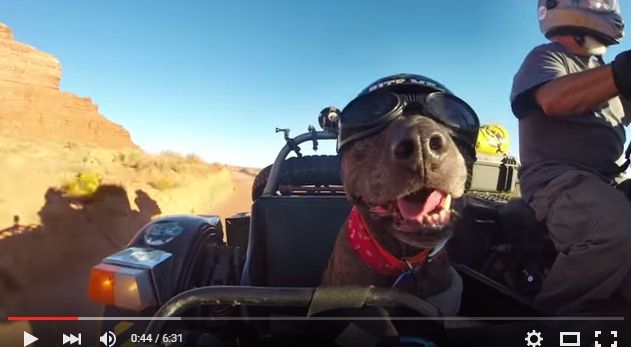 2015y08m20d_231015277