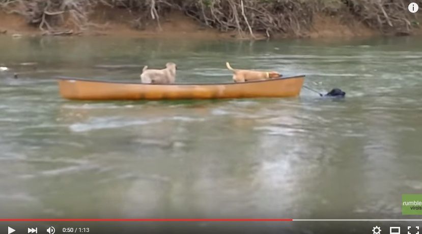 2016y01m04d_221834057