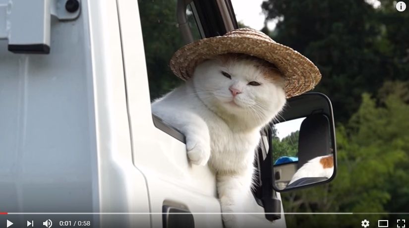 2016y08m07d_140303753