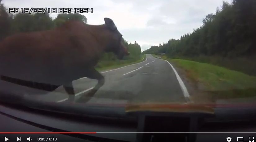 2016y09m17d_022011649