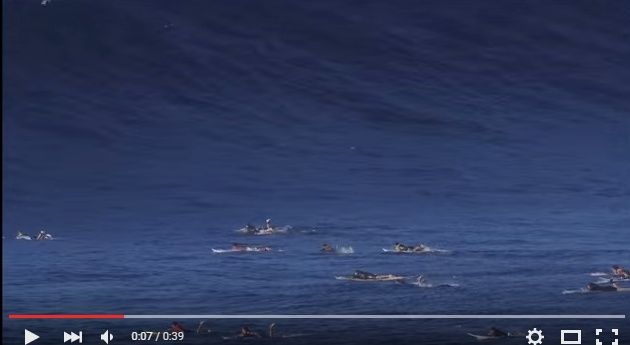 2015y09m27d_215609594