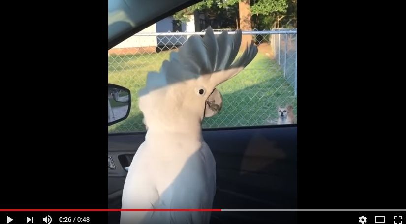 2017y10m24d_025552714