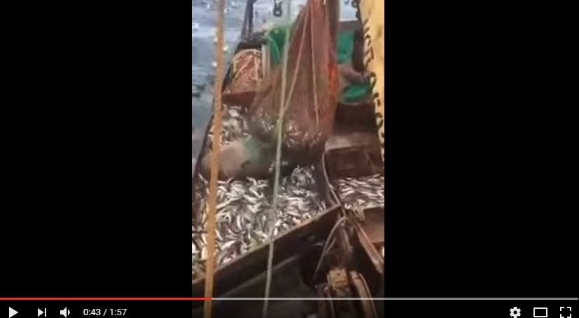 2016y11m13d_133403076