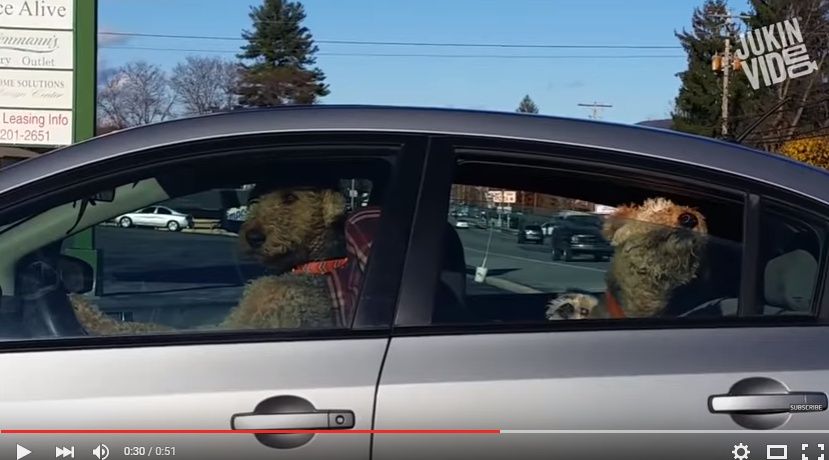 2016y04m20d_011724701