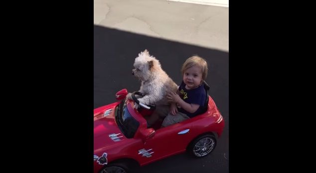 2015y10m07d_220938787