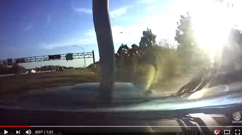 2018y03m09d_145233732