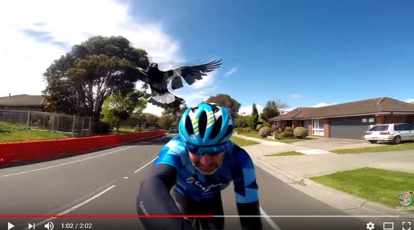 2017y09m01d_194658921