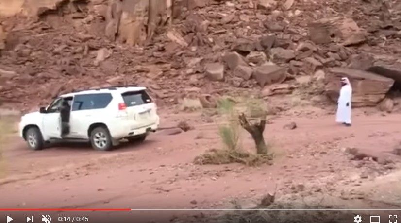 2017y04m13d_144600131