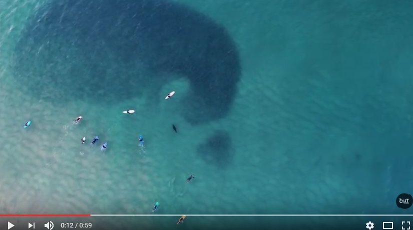 2016y07m20d_214715688