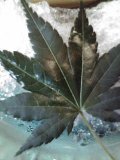 20100727150627