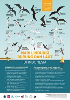 インドネシア海鳥ポスター