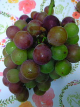 3045b977.jpg