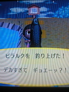 タマシギ のイケイケ日記 街へいこうよどうぶつの森 セイイチ シュモクザメ ピラルク