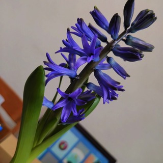 20260226_130159329~2