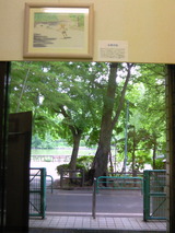 74800a12.jpg