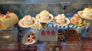 641562635_25449491571391554_8712069188309744542_n (1)