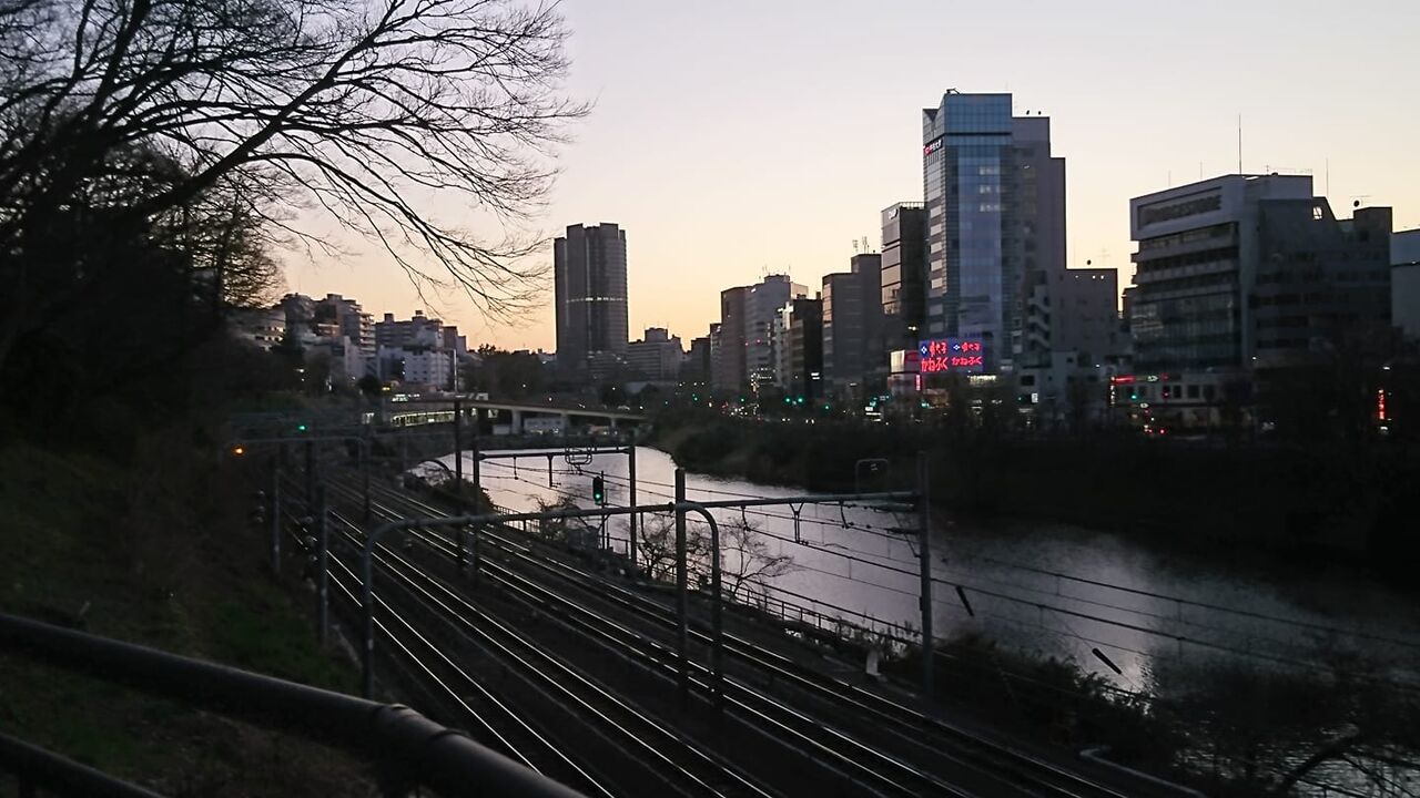 タマシギ のイケイケ日記 市ヶ谷の釣り堀