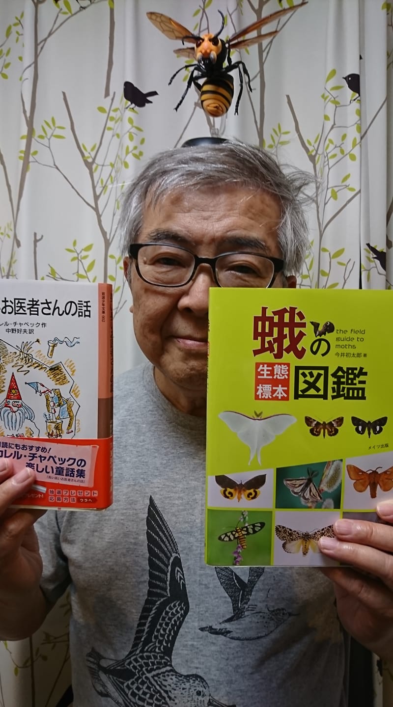 タマシギ のイケイケ日記 余は満足じゃの図 タマシギ のイケイケ日記 余は満足じゃの図