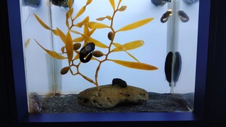 20260302���ʥӥ��˥�