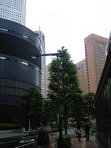 b5d12c04.jpg