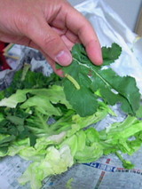 e4c5d414.jpg