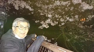 武蔵関の桜20200323