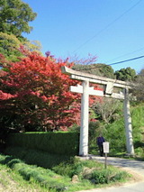 f9ad1d65.jpg
