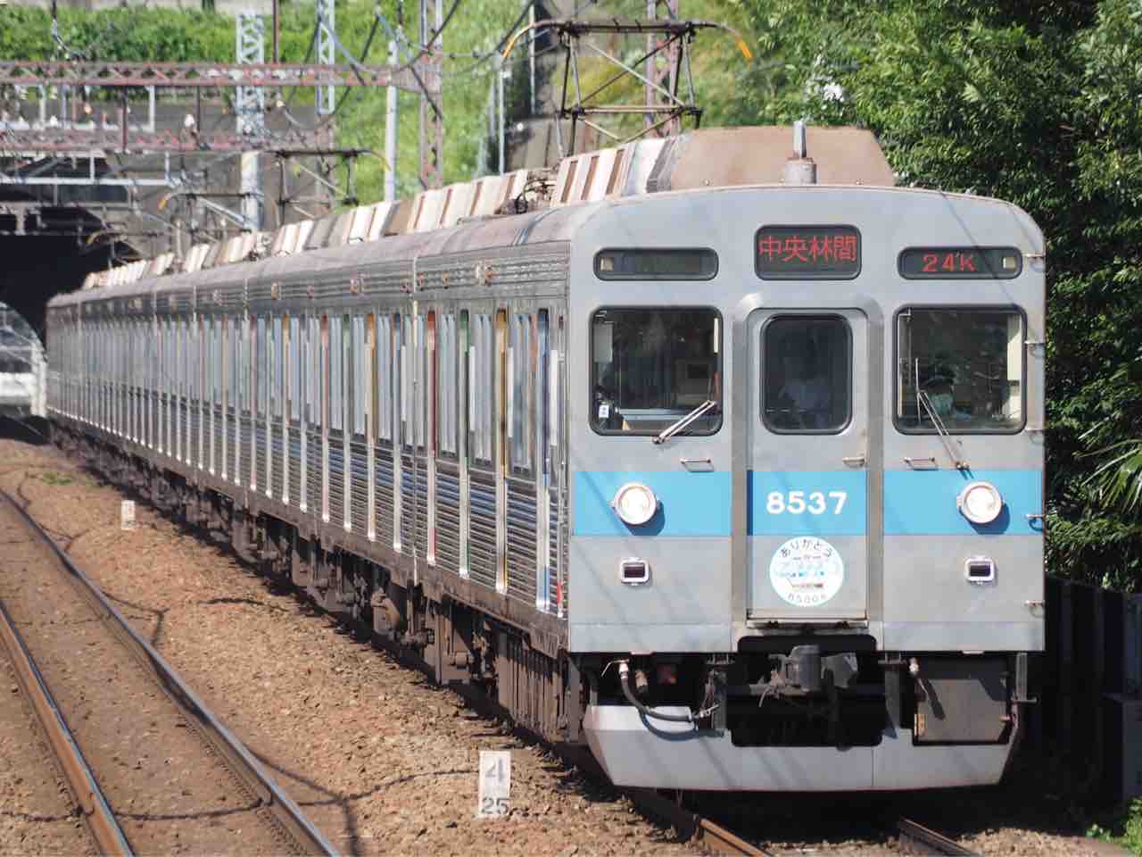 グランドセイコー セール 東急8500系8637F : たまプラ検車区 鉄道模型