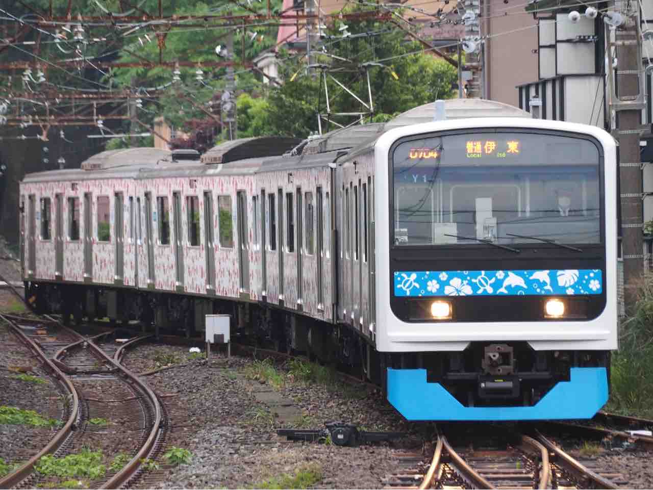 伊豆急行3000系Y1編成アロハ電車 : たまプラ検車区 伊豆急行3000系Y1編成アロハ電車 : たまプラ検車区