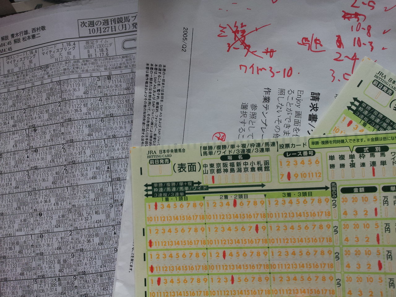 東京競馬場に行ってみた Tamatsukushiのblog