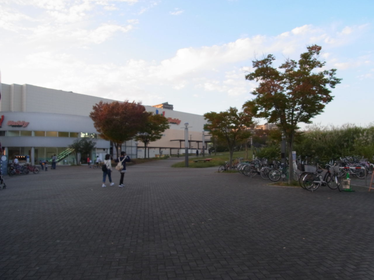 若葉台公園と上谷戸親水公園に行ってみた Tamatsukushiのblog