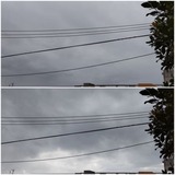 昨日…【たまの日記】