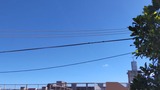 たぁ～った…【たまの日記】