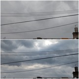 AM1:59…【たまの日記】