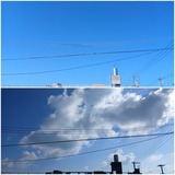 雲…【たまの日記】