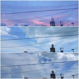 雲…【たまの日記】