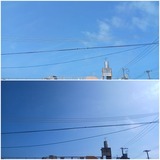 ようやく…？【たまの日記】